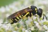 212566 – Photo : Didier Houbrechts – Belgique
